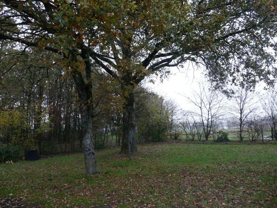 Charmante Maison En Campagne Grand-Fougeray Dış mekan fotoğraf